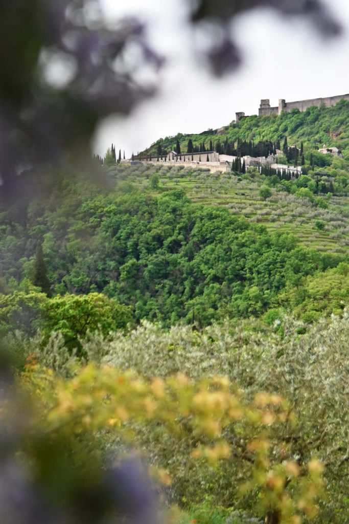 visitare Assisi in un giorno tra capolavori e buon cibo, assisi, umbria, umbria tourism, italai, borghi, borghi umbri, borghipiù belli d italia, cosa vedere, dove dormire, cosa mangiare, san francesco, basilica di san francesco, bella umbria