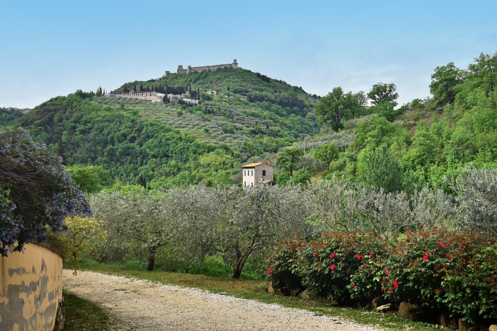 visitare Assisi in un giorno tra capolavori e buon cibo, assisi, umbria, umbria tourism, italai, borghi, borghi umbri, borghipiù belli d italia, cosa vedere, dove dormire, cosa mangiare, san francesco, basilica di san francesco, bella umbria