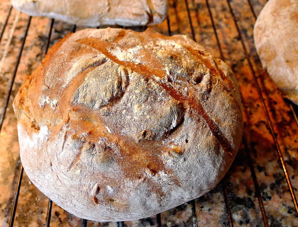 cosa vedere ad altamura a piedi la città del pane, altamura, altamura a piedi, cattedrale di altamura, pane di altamura, uomo di altamura, pane, grotta di lamalunga, città del pane, palazzo baldassarre, puglia